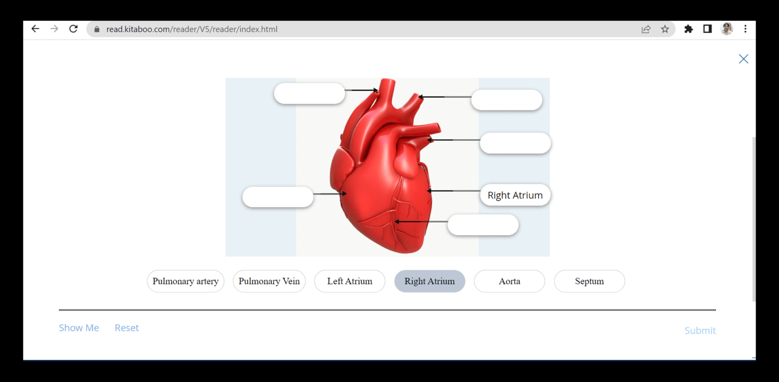 Image of a Heart