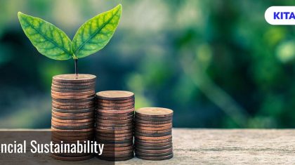 The CEO’s Role in Financial Sustainability: Balancing Growth and Profitability